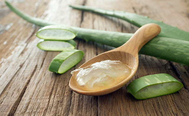 aloe vera pour perdre du poids