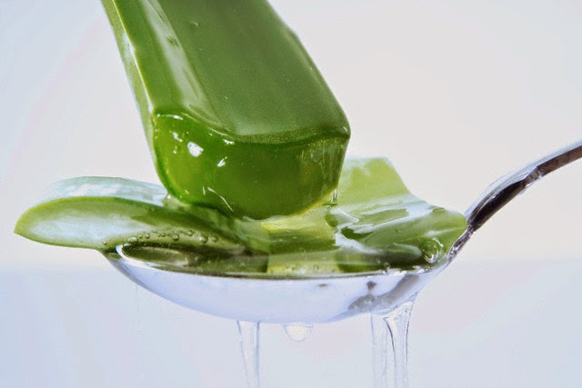 Photo of Peut-on maigrir avec l’aloe vera à boire ?