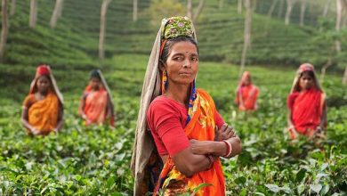 Photo of Cure dite sati : le régime minceur venu d’Inde pour perdre des kilos