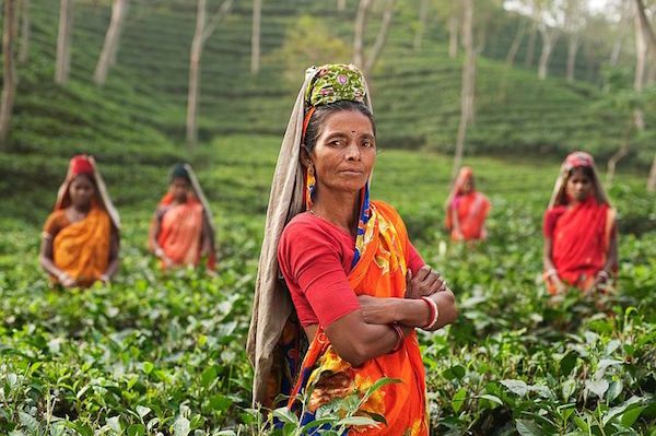 Photo of Cure dite sati : le régime minceur venu d’Inde pour perdre des kilos