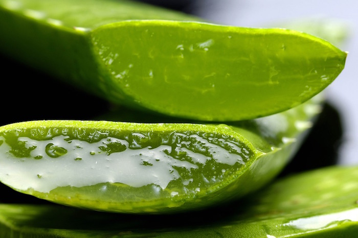 Origine de l'aloe vera et de sa pulpe pour maigrir.