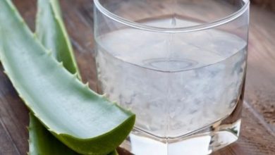 Photo of La pulpe d’aloe vera permet-elle de maigrir et de vraiment perdre du poids ?